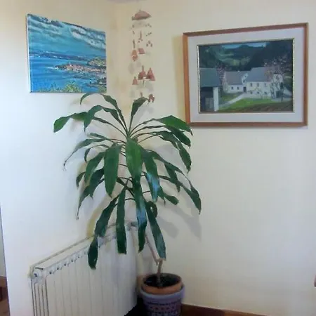 Romb * Izola